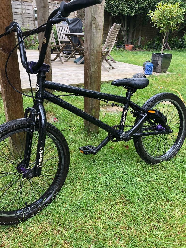 hoffman immersion bmx